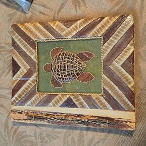 Turtle Photo Album From Hawaii